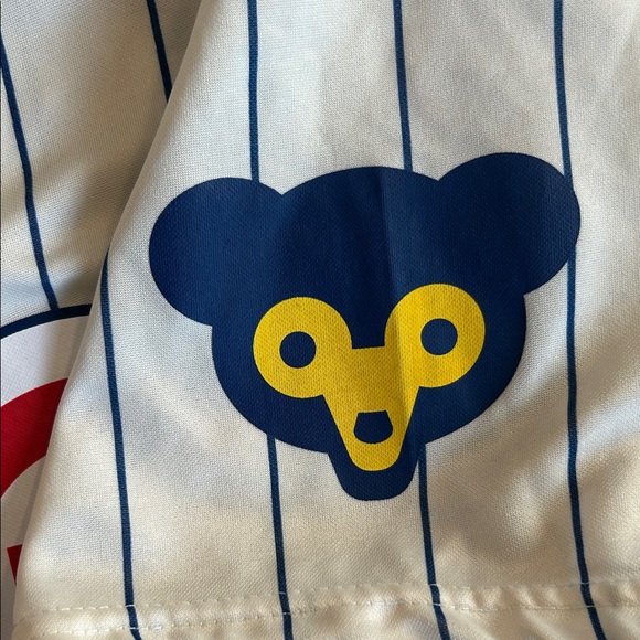 Vintage Chicago Cubs Pinstripe Baseball Jersey Size Large MLB - Picture 5 of 6